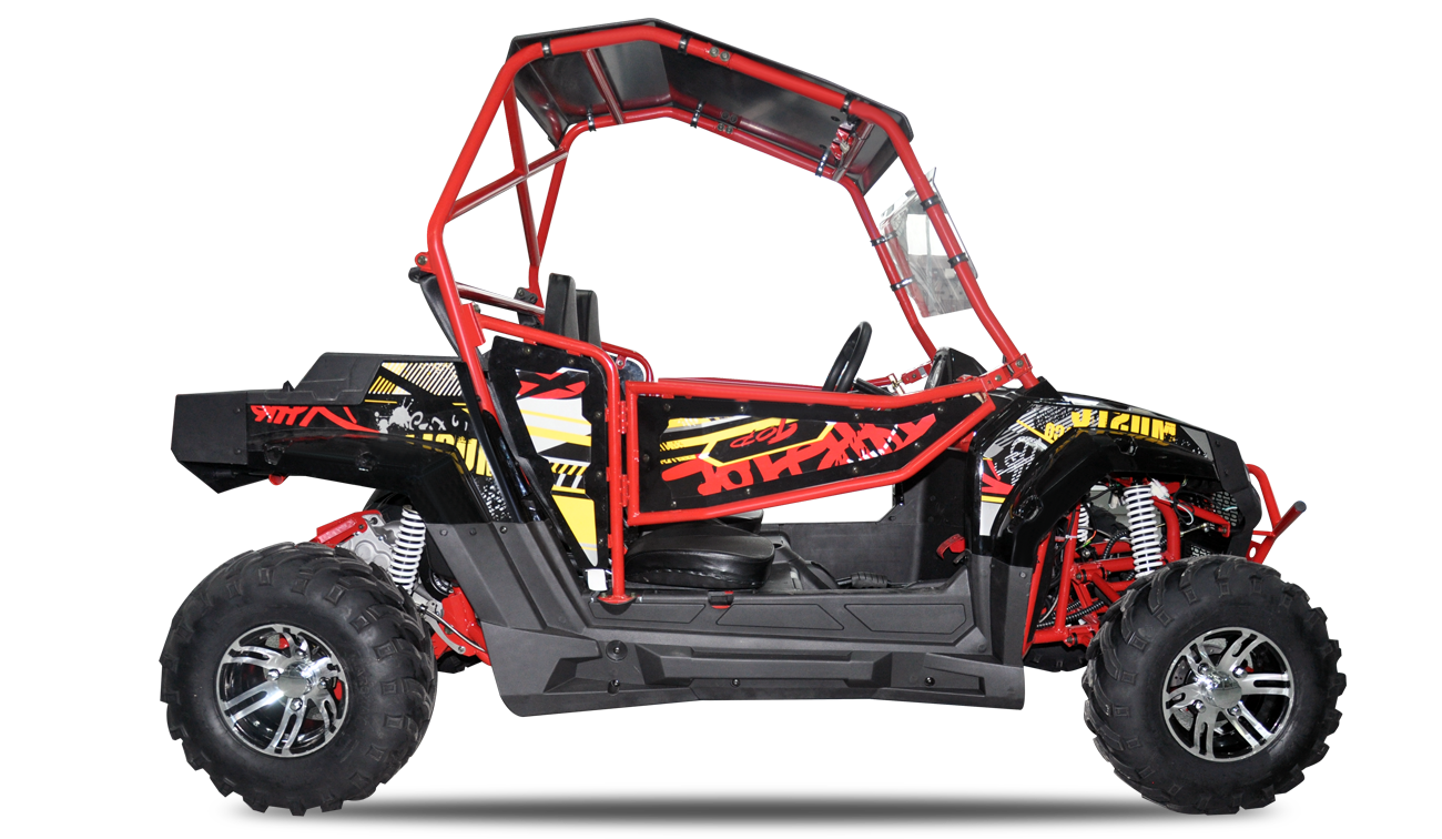 Yuki Thor 250 UTV Offroad - Görsel 2